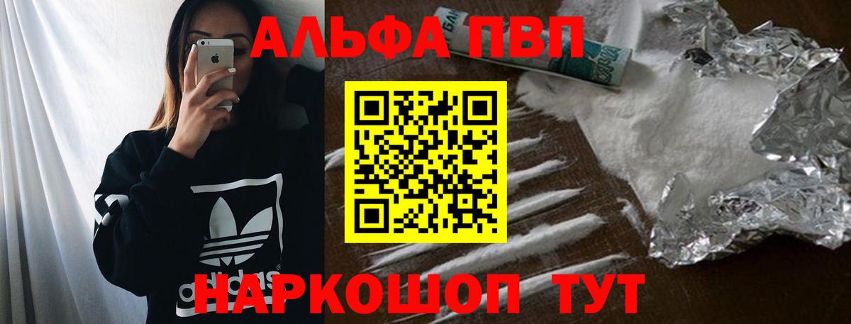 Альфа ПВП СК КРИС Курчалой