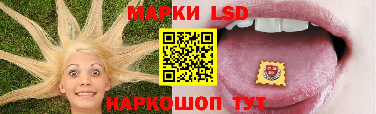 LSD-25 экстази кислота  Вход с VPN  Курчалой 