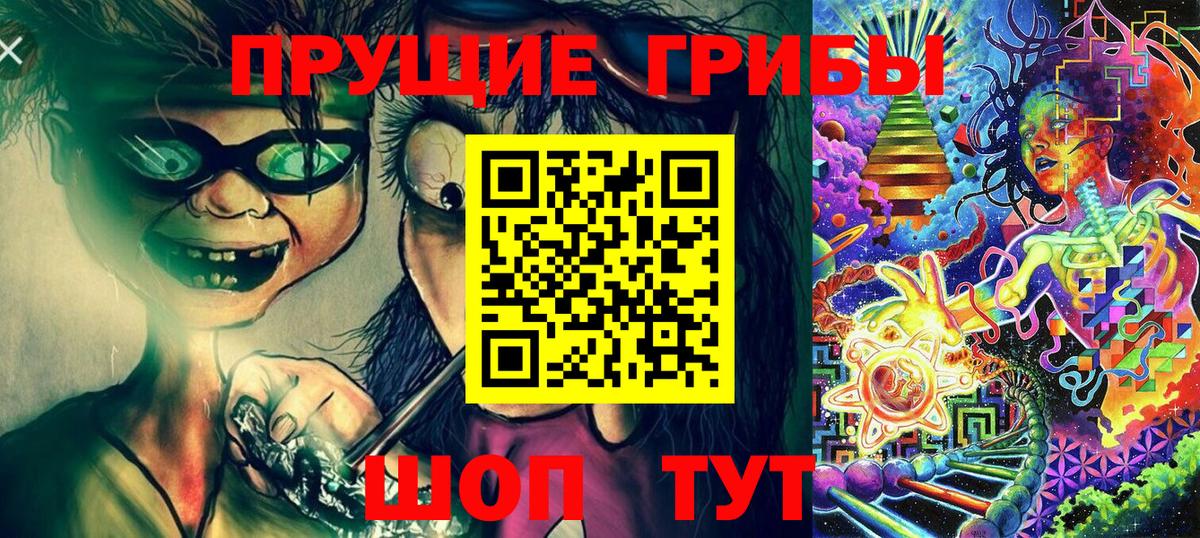 Псилоцибиновые грибы Psilocybe Курчалой