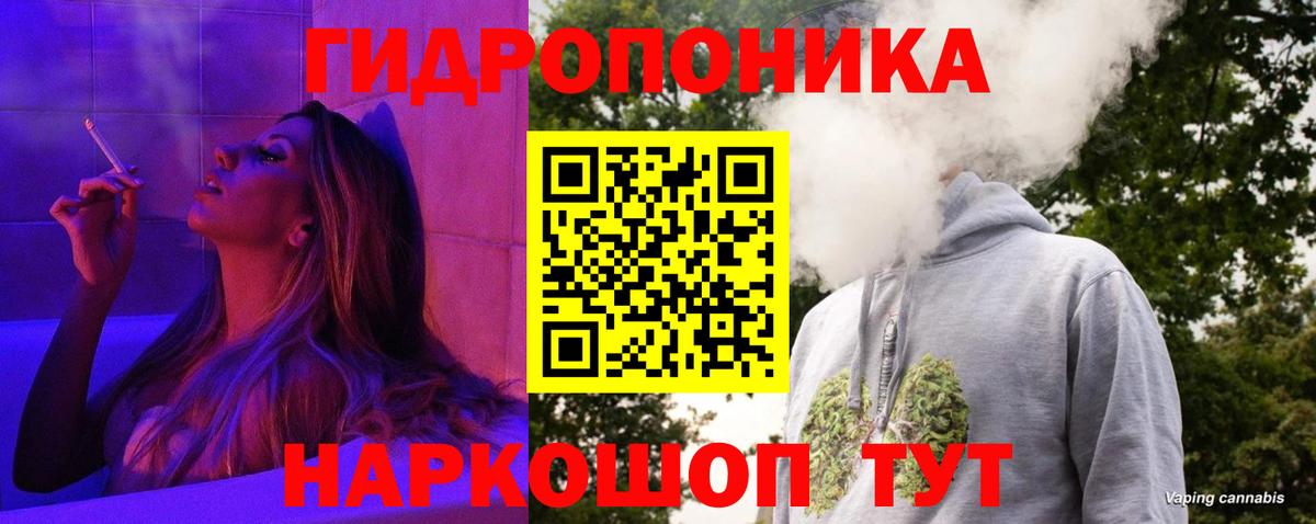 Бошки Шишки SATIVA & INDICA  Вход с VPN  Шишки марихуана OG Kush  Бошки Шишки ГИДРОПОН  Курчалой 